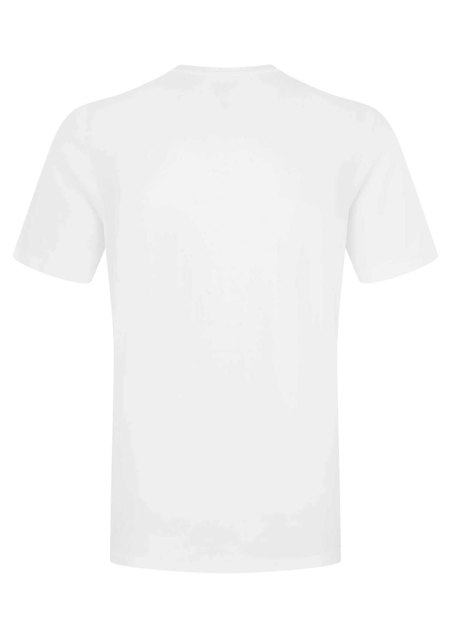Rab Stance Alpine Peak Tee White / XXL