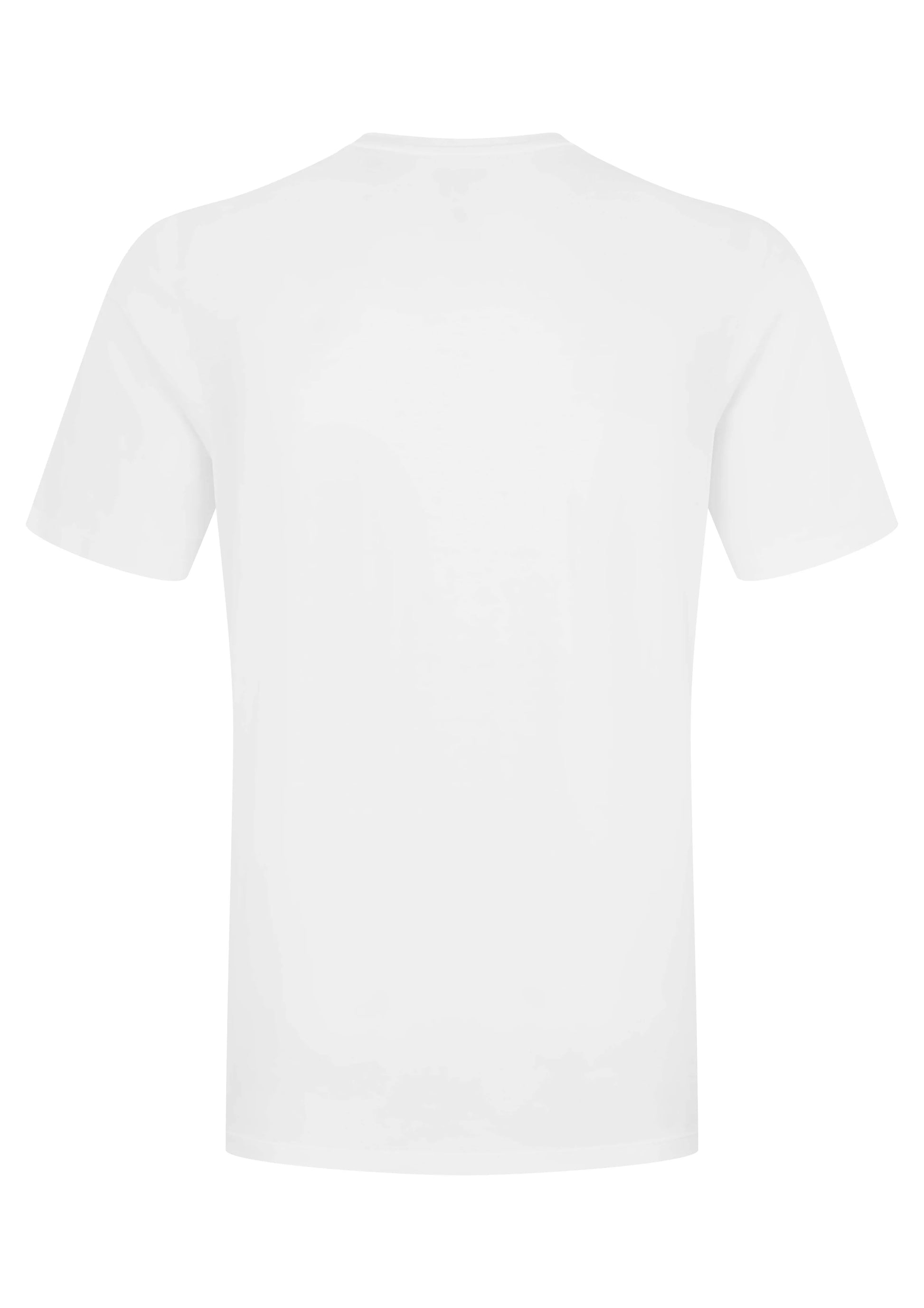 Rab Stance Alpine Peak Tee White / XXL