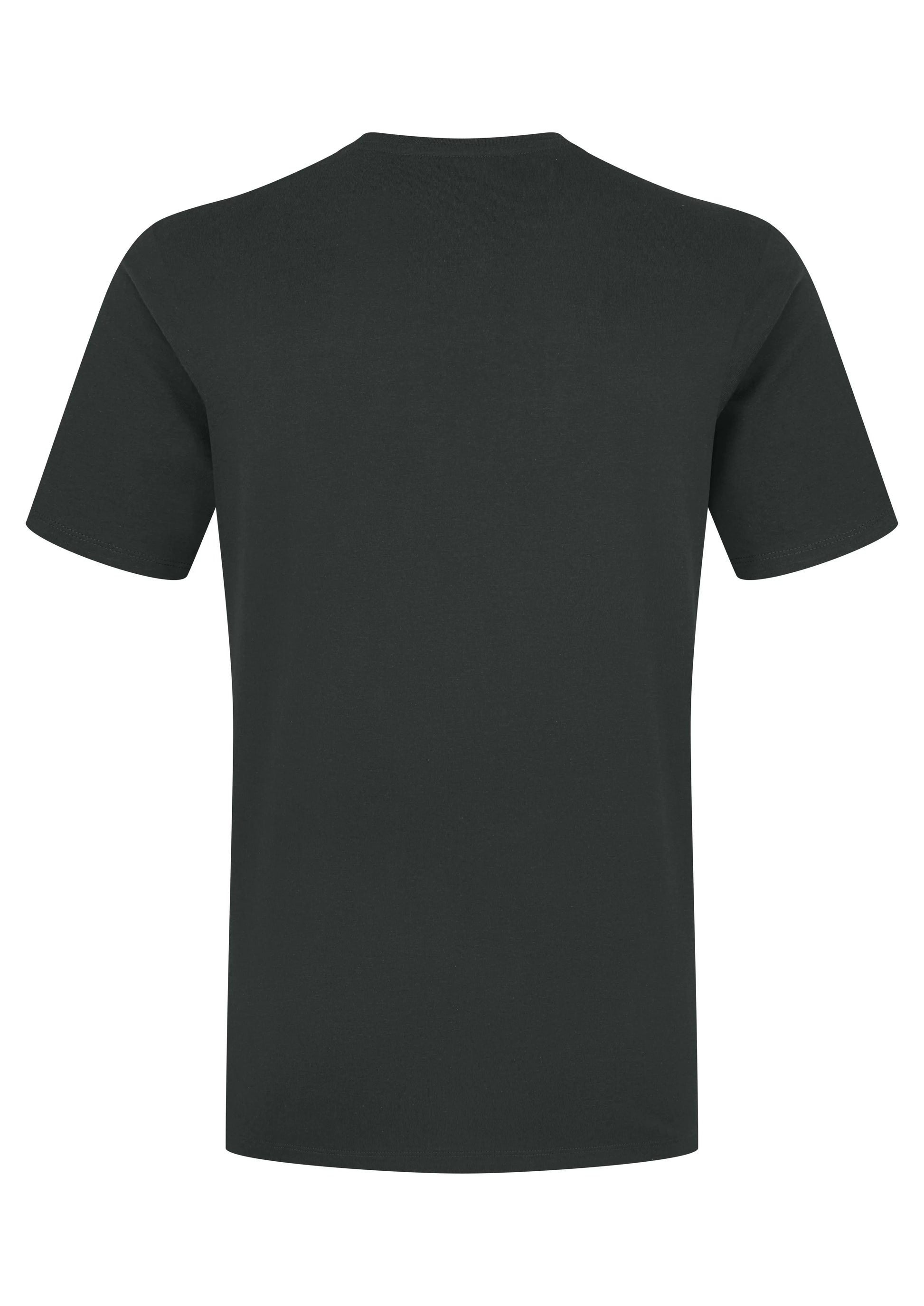 Rab Stance Logo Tee Beluga/Pollen / XXL